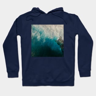 Cat watching waves Hoodie